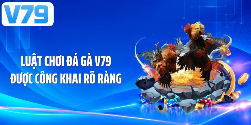 Luật chơi đá gà V79 được công khai rõ ràng