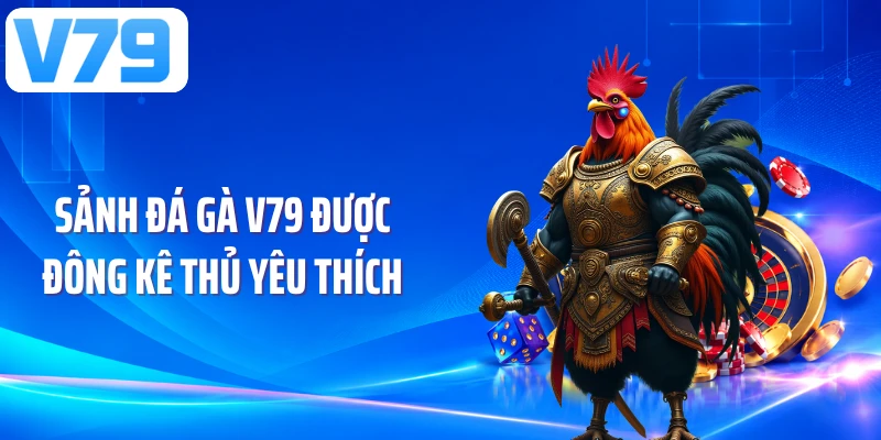 Sảnh đá gà V79 được đông kê thủ yêu thích