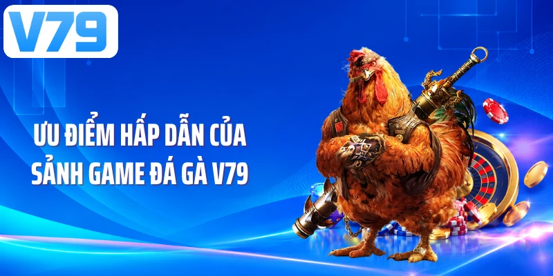 Ưu điểm hấp dẫn của sảnh game đá gà V79